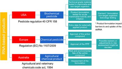 RNAi-Based Biocontrol Products: Market Status, Regulatory Aspects, and Risk Assessment